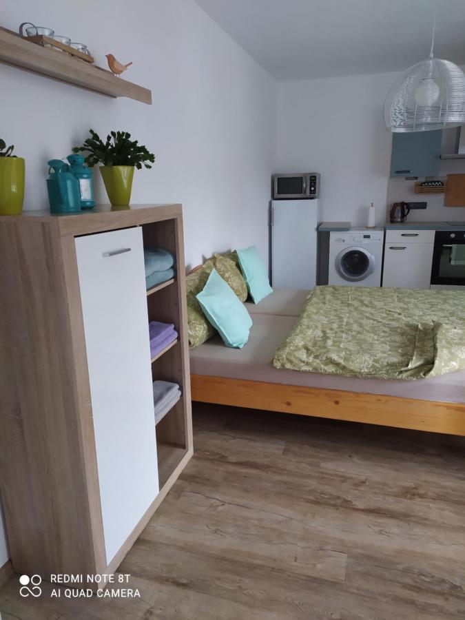 Apartman Eliska Vinohradni 200 Apartment Simonovice ภายนอก รูปภาพ
